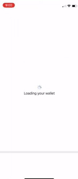 STEP 5. Loading Wallet