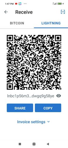 You will see two options:  • Bitcoin address (regular network) • Lightning invoice (fast payments)