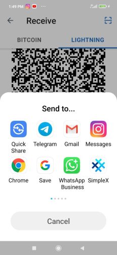 Copy the invoice or Click on Share to Send the Invoice to the sender.

Lightning payments typically arrive within seconds.